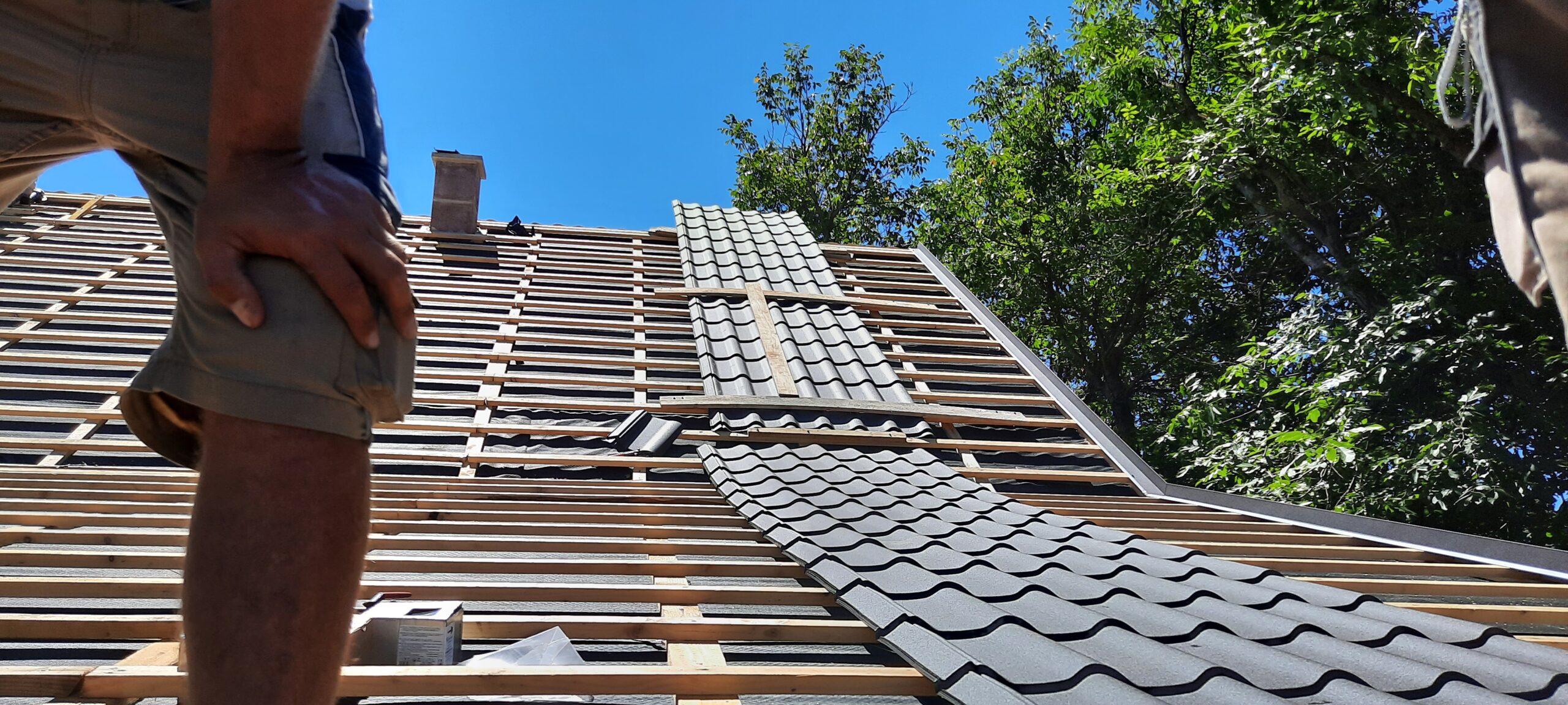 Roof (18)