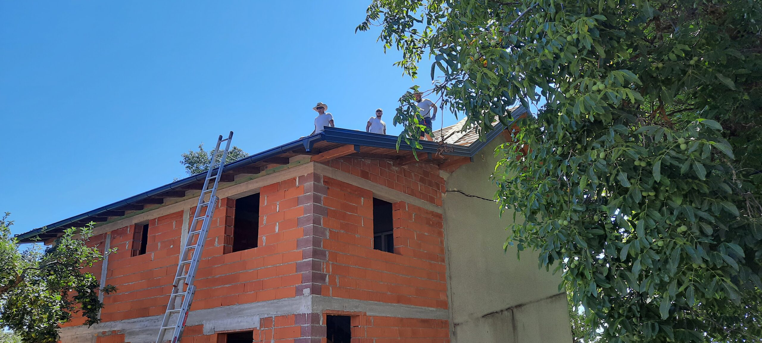Roof (20)